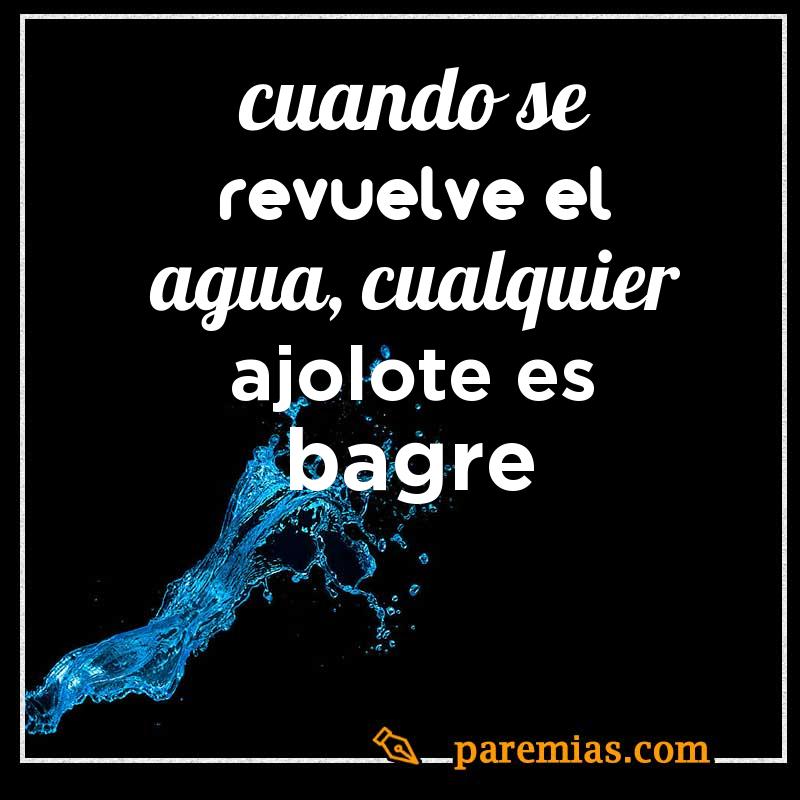 Cuando se revuelve el agua, cualquier ajolote es bagre