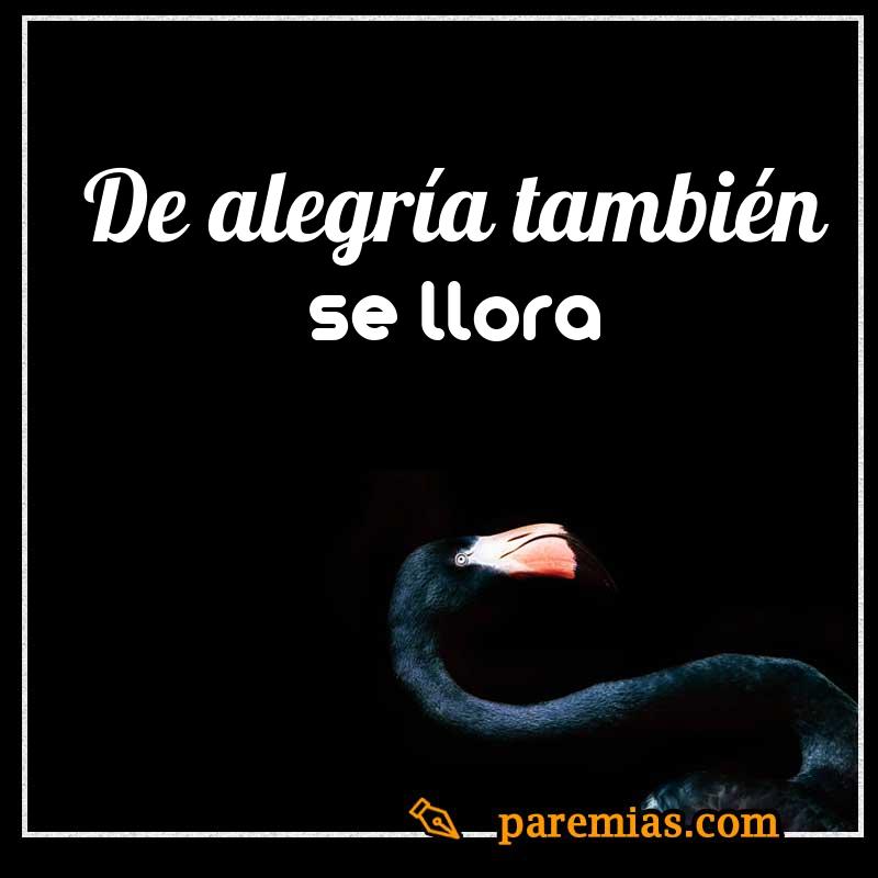 De alegría también se llora
