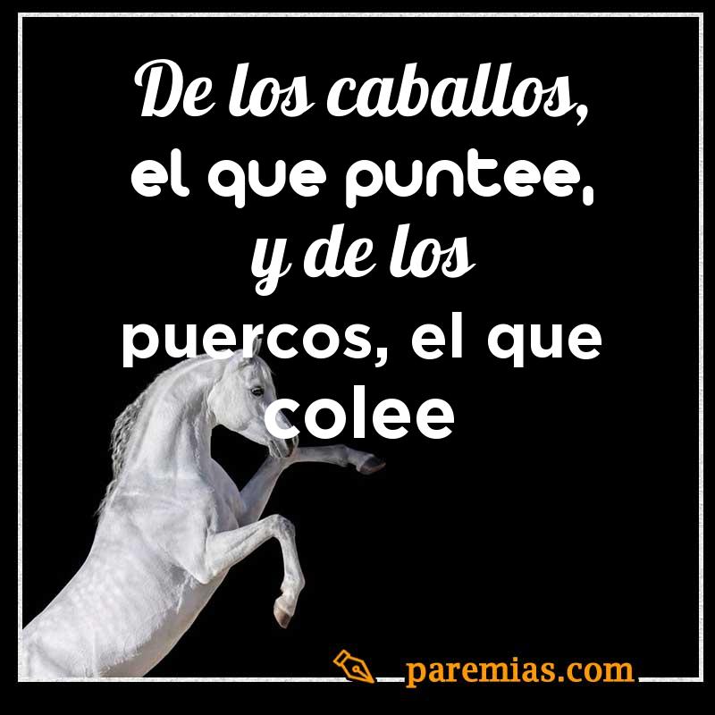 De los caballos, el que puntee, y de los puercos, el que colee