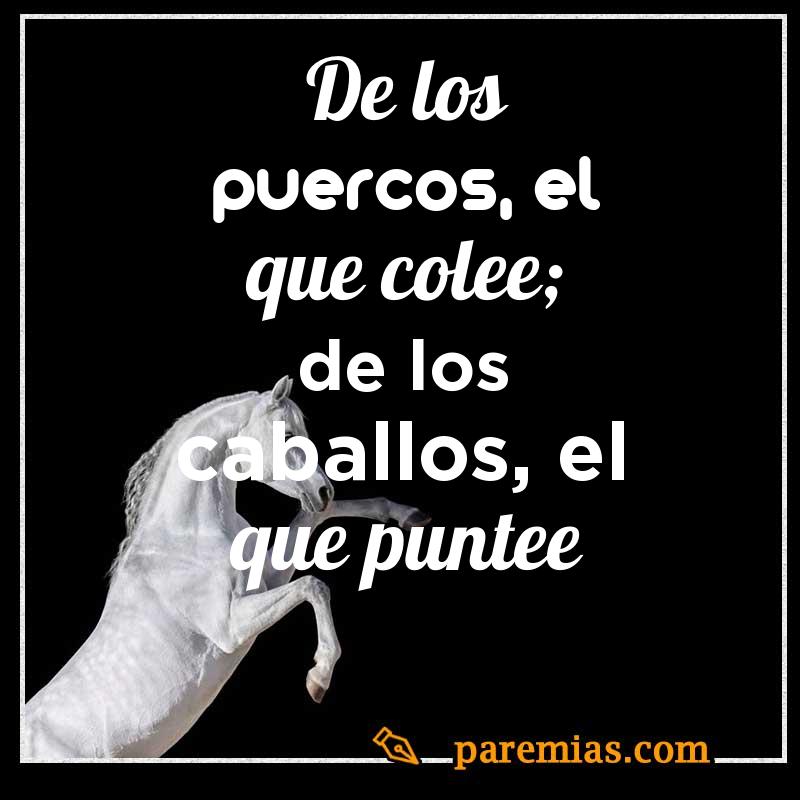 De los puercos, el que colee; de los caballos, el que puntee