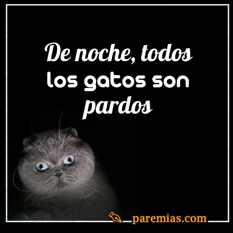 De noche, todos los gatos son pardos