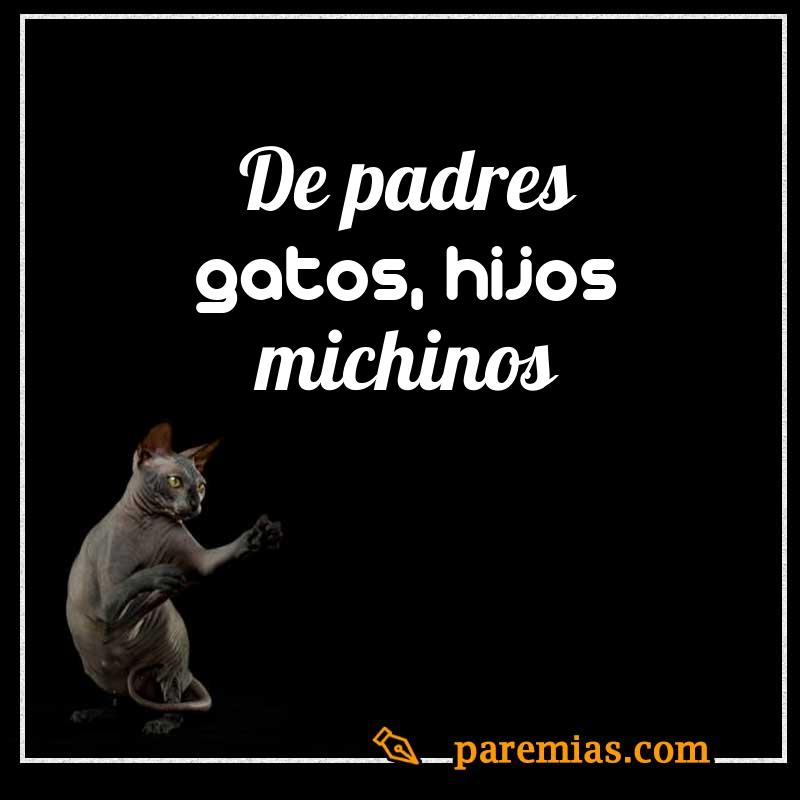 De padres gatos, hijos michinos
