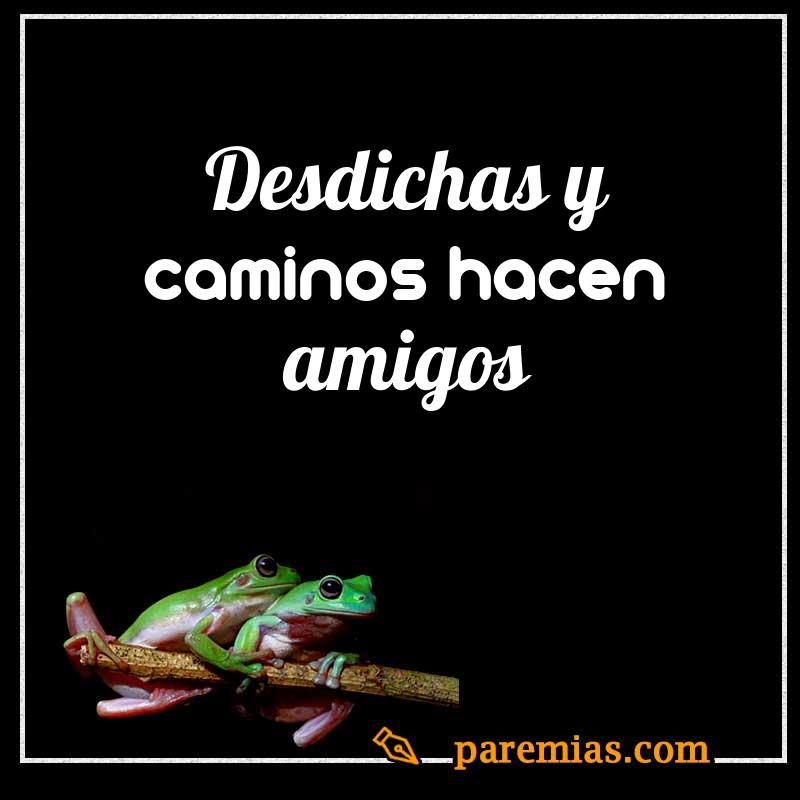 Desdichas y caminos hacen amigos