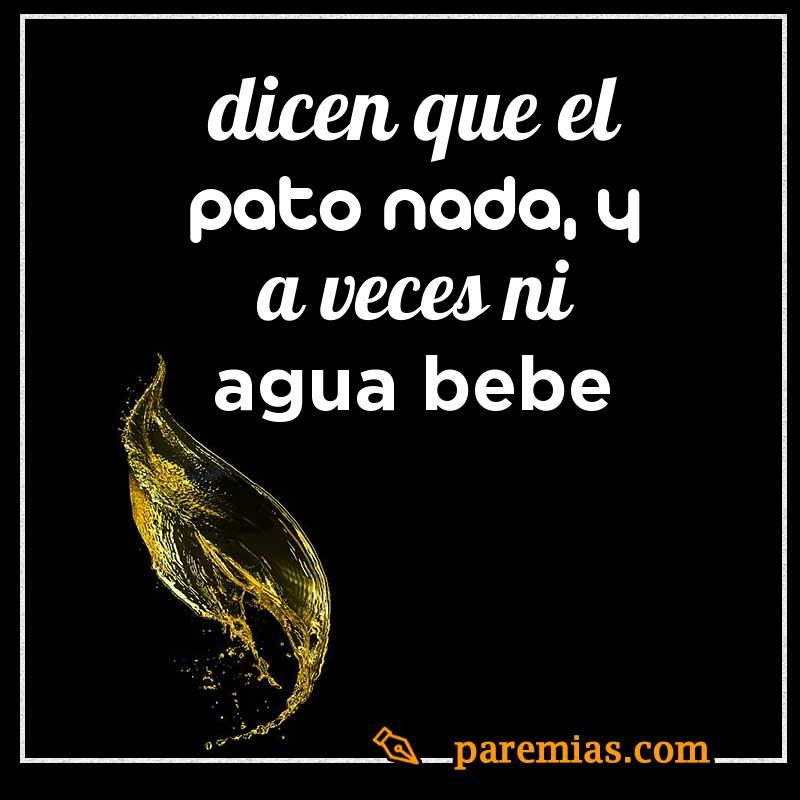 Dicen que el pato nada, y a veces ni agua bebe