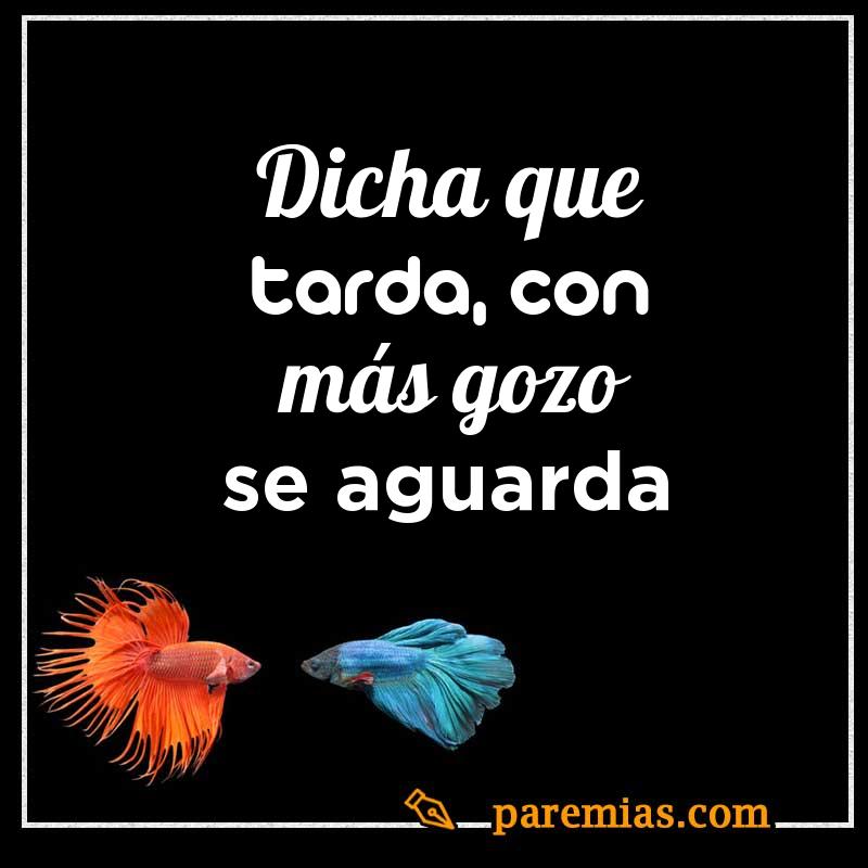 Dicha que tarda, con más gozo se aguarda