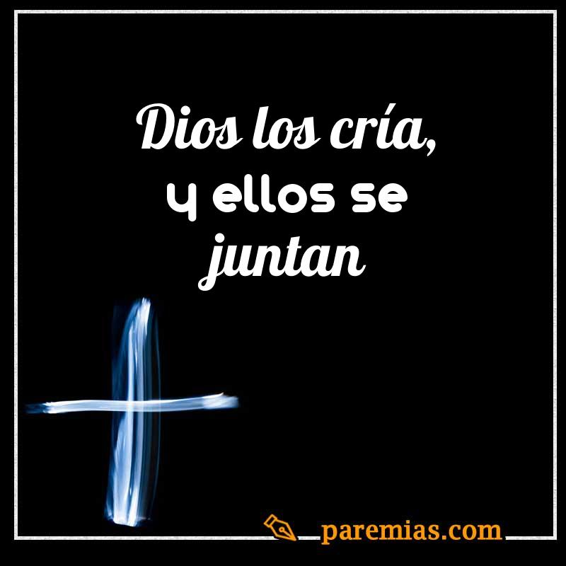 Dios los cría, y ellos se juntan