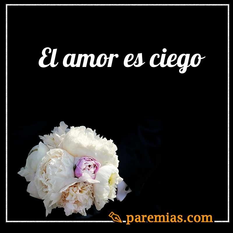 El amor es ciego