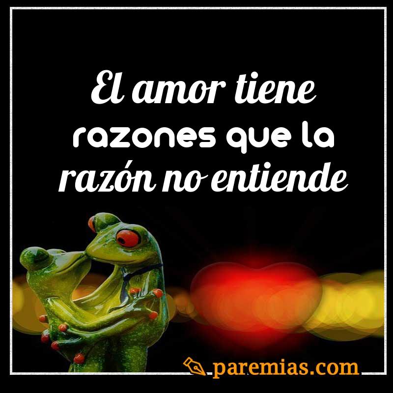 El amor tiene razones que la razón no entiende