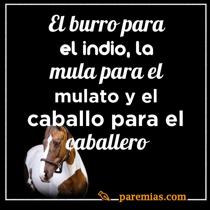 El burro para el indio, la mula para el mulato y el caballo para el caballero