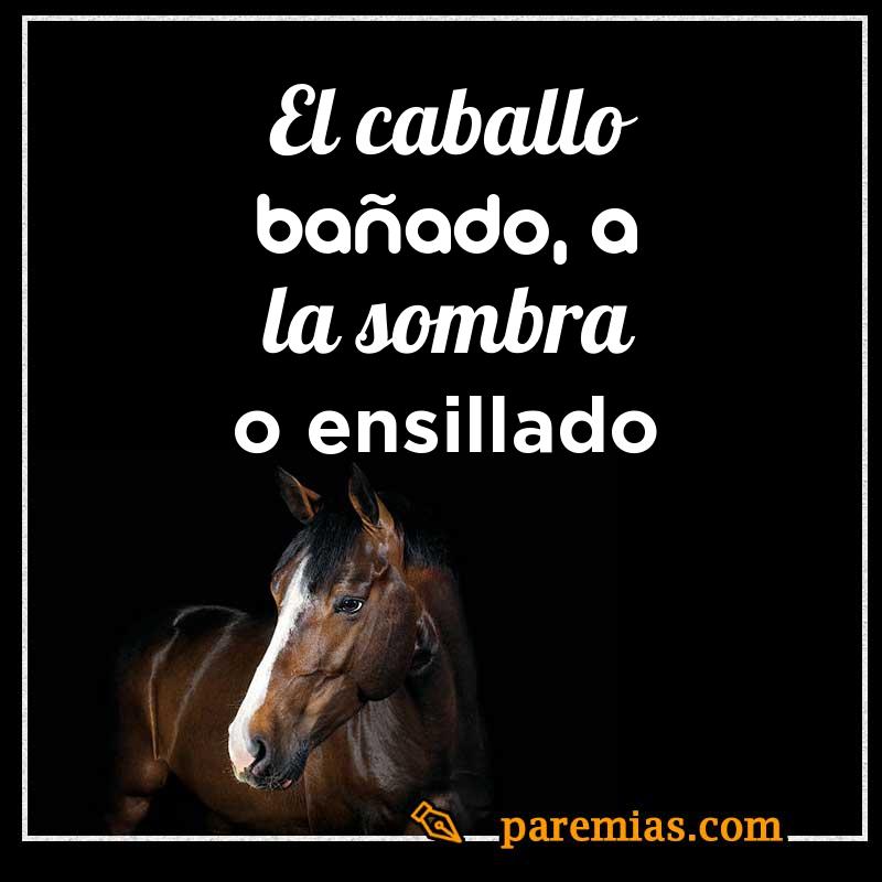 El caballo bañado, a la sombra o ensillado