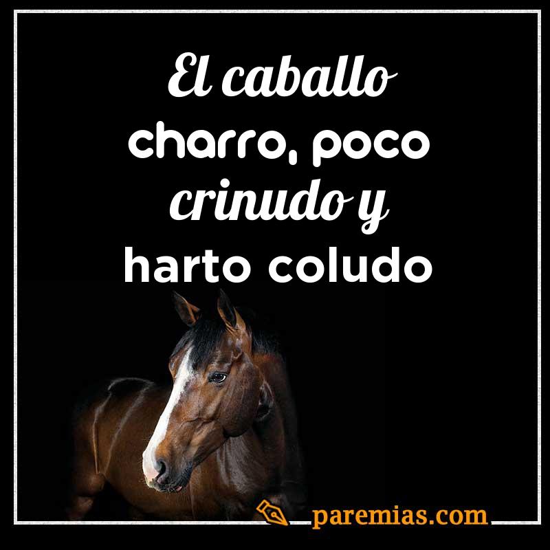 El caballo charro, poco crinudo y harto coludo