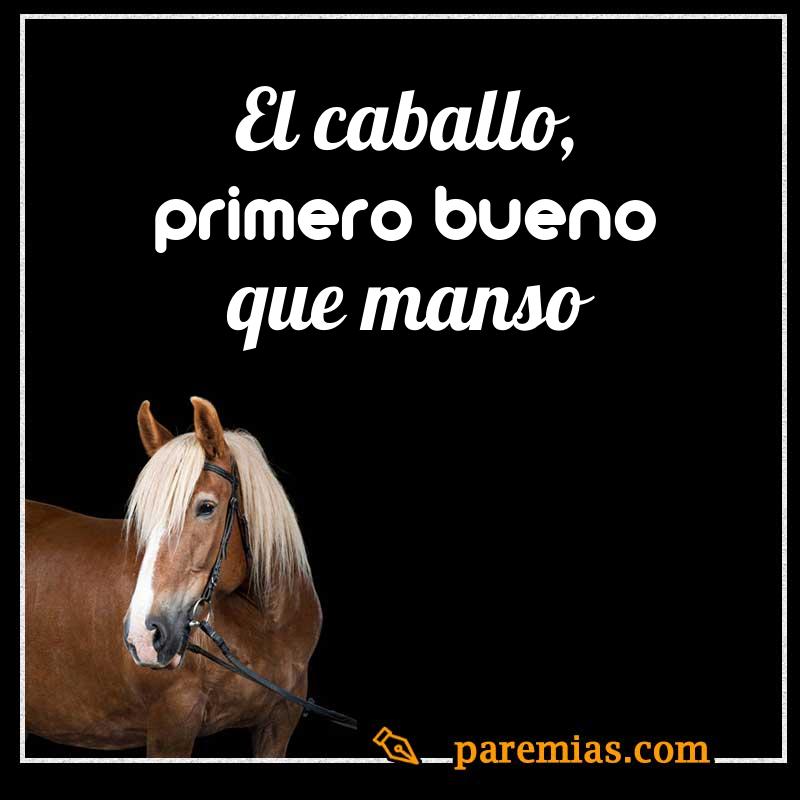 El caballo, primero bueno que manso