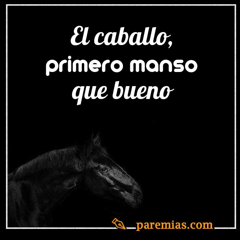 El caballo, primero manso que bueno