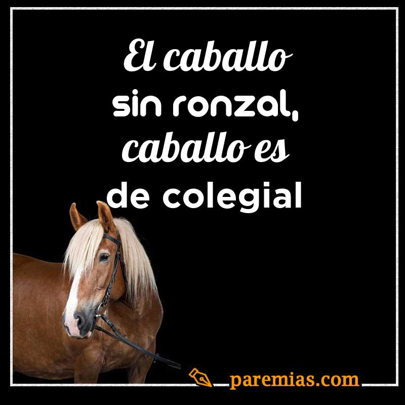 El caballo sin ronzal, caballo es de colegial