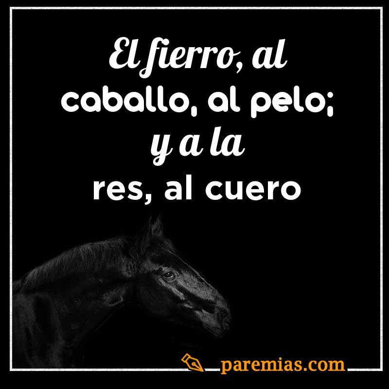 El fierro, al caballo, al pelo; y a la res, al cuero