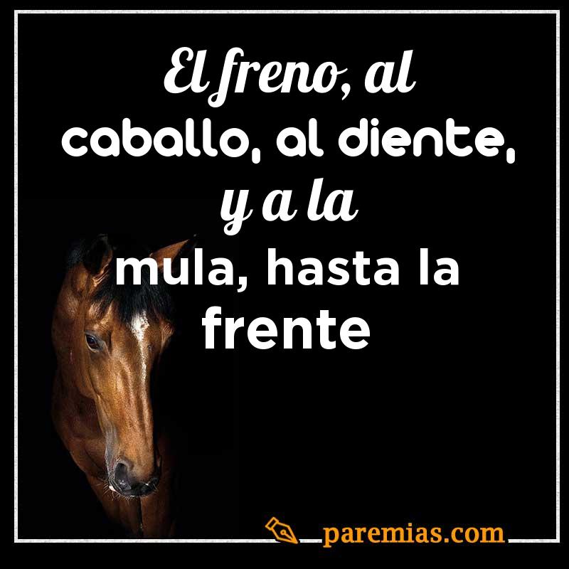 El freno, al caballo, al diente, y a la mula, hasta la frente