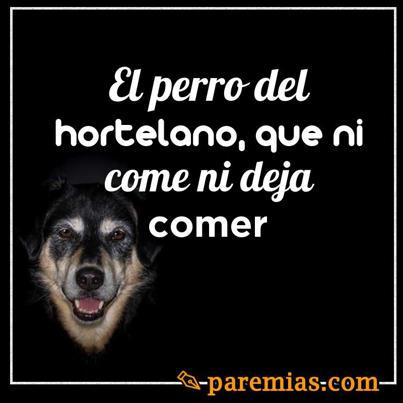 El perro del hortelano, que ni come ni deja comer