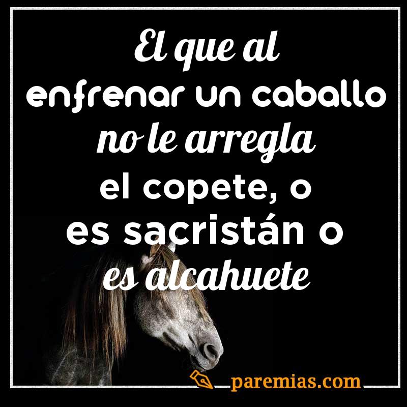 El que al enfrenar un caballo no le arregla el copete, o es sacristán o es alcahuete