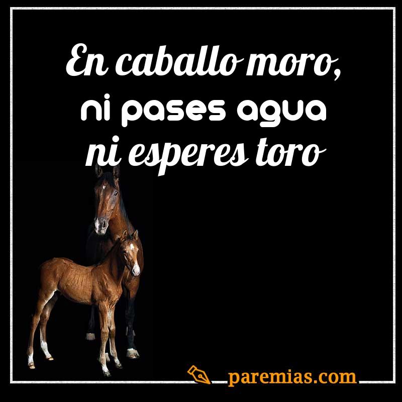 En caballo moro, ni pases agua ni esperes toro