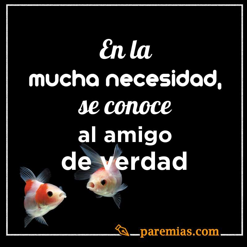 En la mucha necesidad, se conoce al amigo de verdad