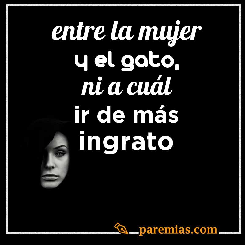 Entre la mujer y el gato, ni a cuál ir de más ingrato