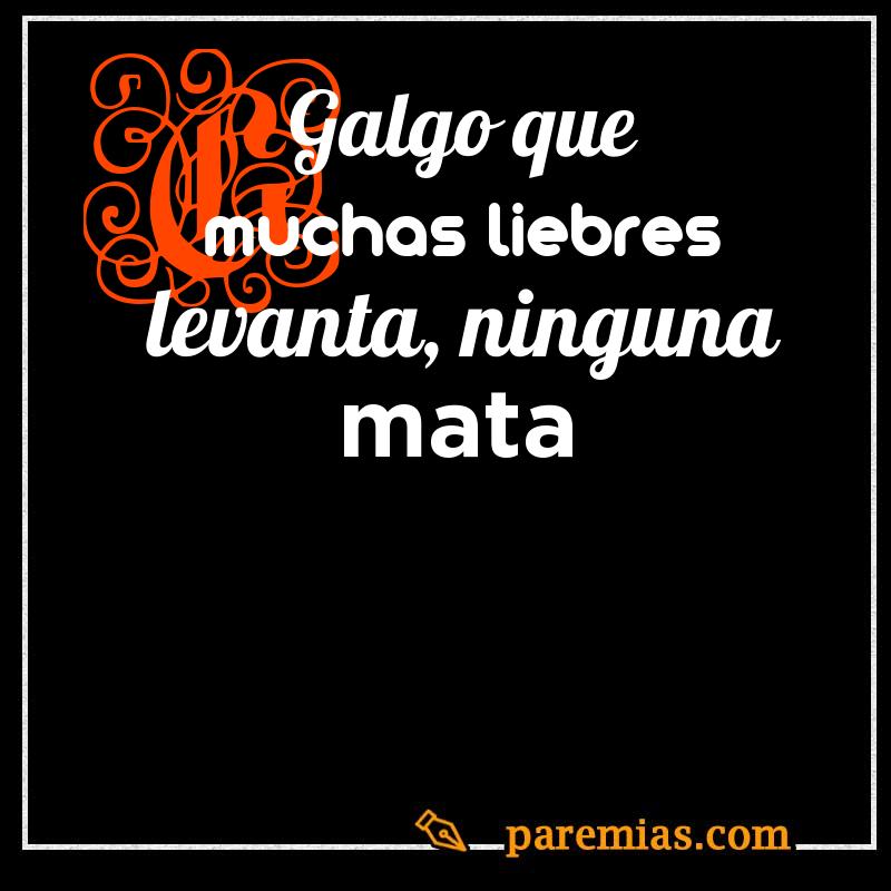 Galgo que muchas liebres levanta, ninguna mata