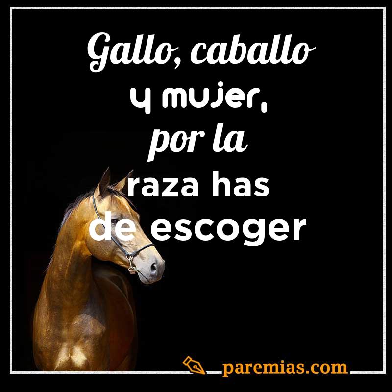 Gallo, caballo y mujer, por la raza has de escoger