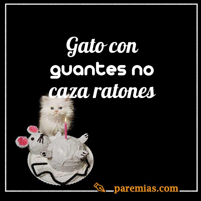 Gato con guantes no caza ratones