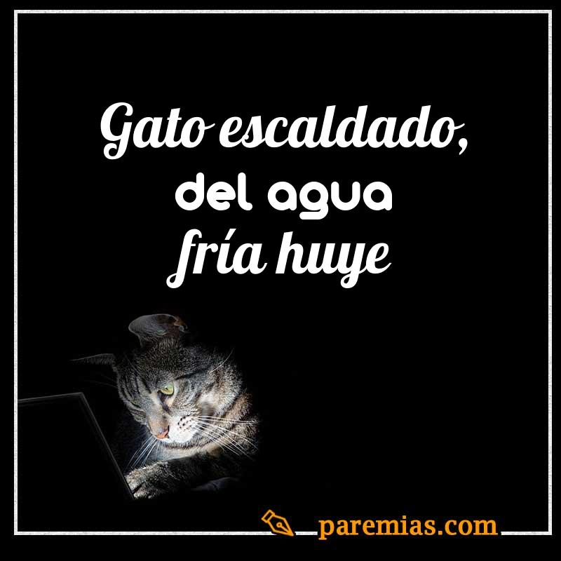 Gato escaldado, del agua fría huye