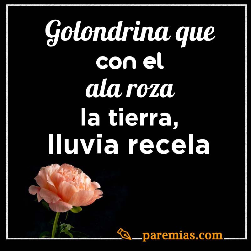 Golondrina que con el ala roza la tierra, lluvia recela