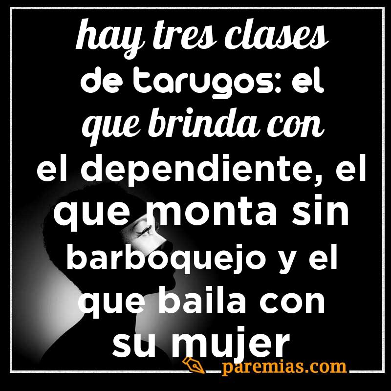 Hay tres clases de tarugos: el que brinda con el dependiente, el que monta sin barboquejo y el que baila con su mujer