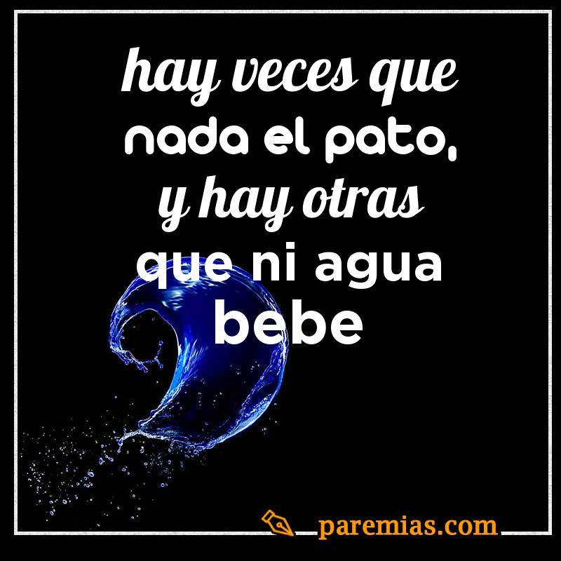 Hay veces que nada el pato, y hay otras que ni agua bebe