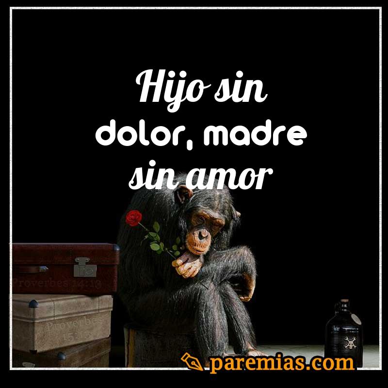 Hijo sin dolor, madre sin amor