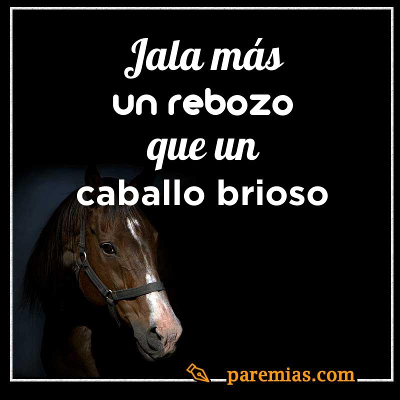 Jala más un rebozo que un caballo brioso