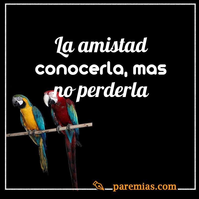 La amistad conocerla, mas no perderla