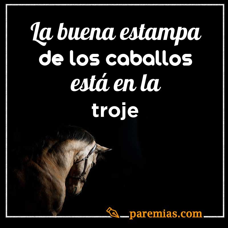 La buena estampa de los caballos está en la troje