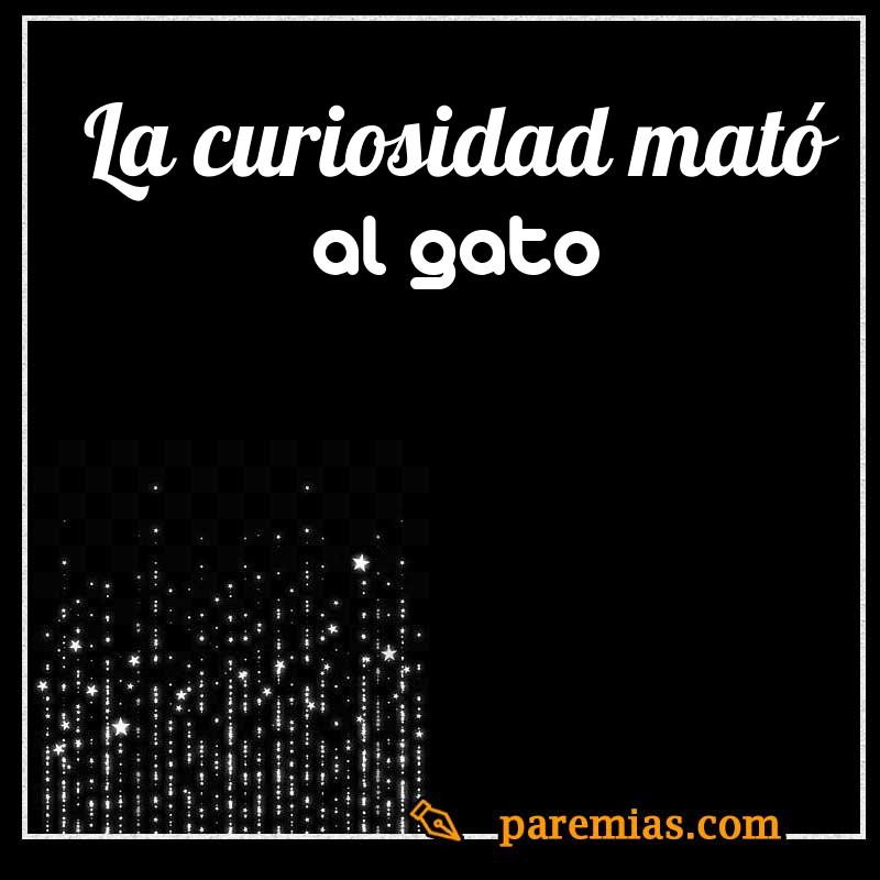 La curiosidad mató al gato