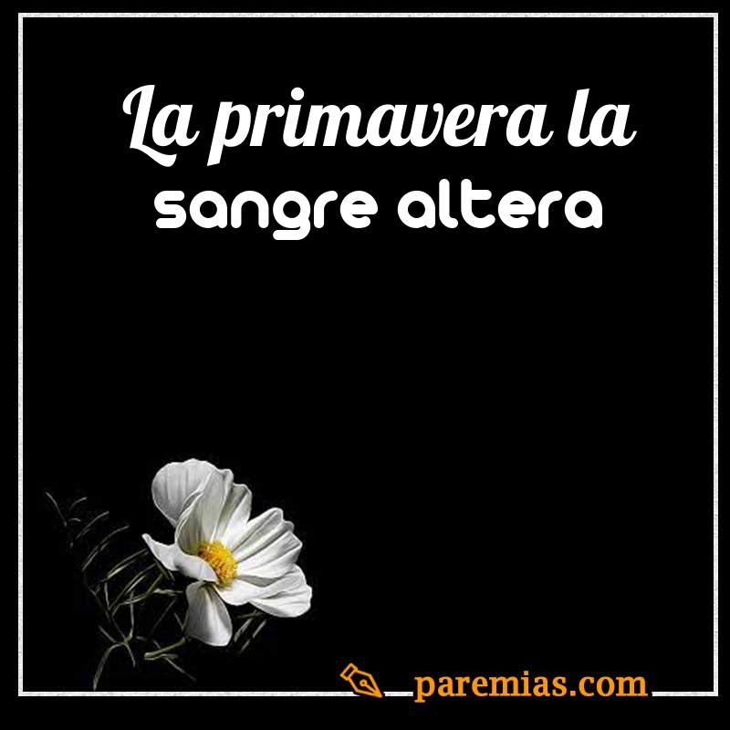 La primavera la sangre altera