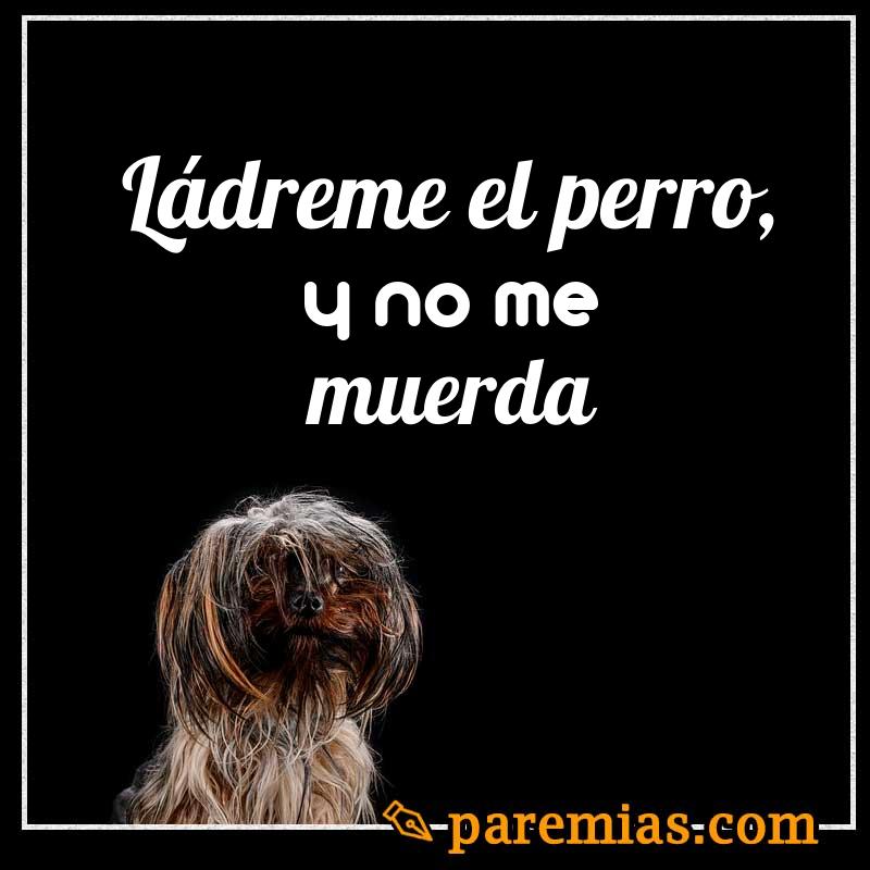 Ládreme el perro, y no me muerda
