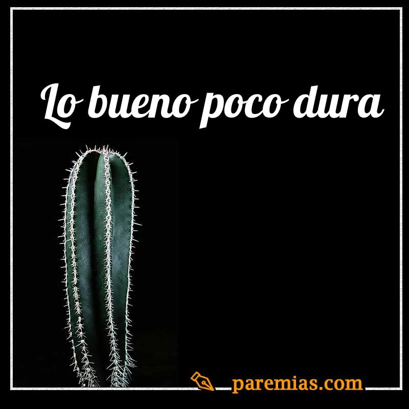 Lo bueno poco dura