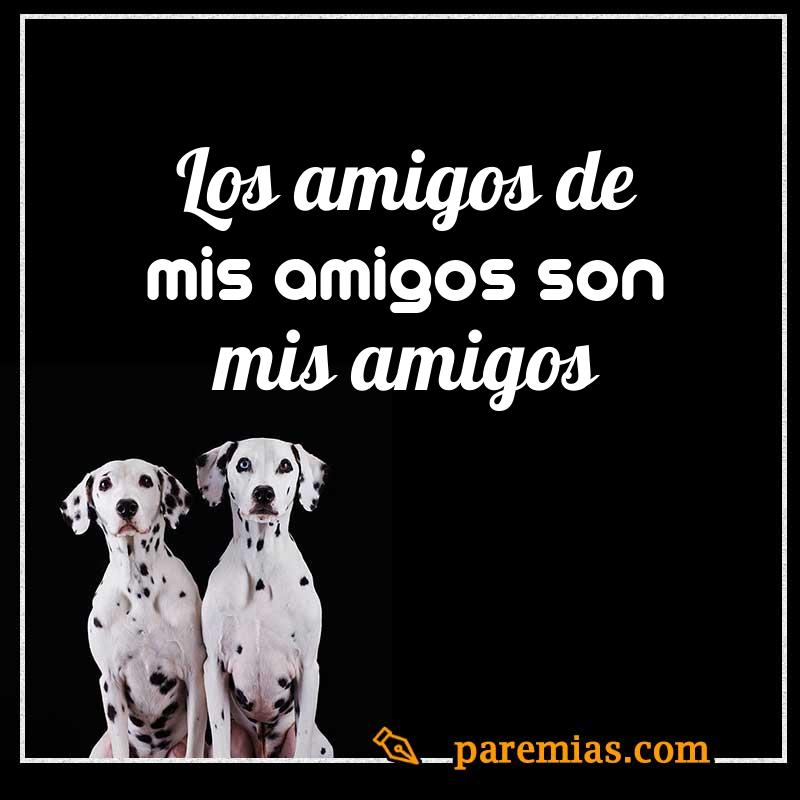 Los amigos de mis amigos son mis amigos