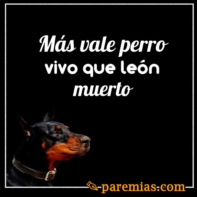 Más vale perro vivo que león muerto
