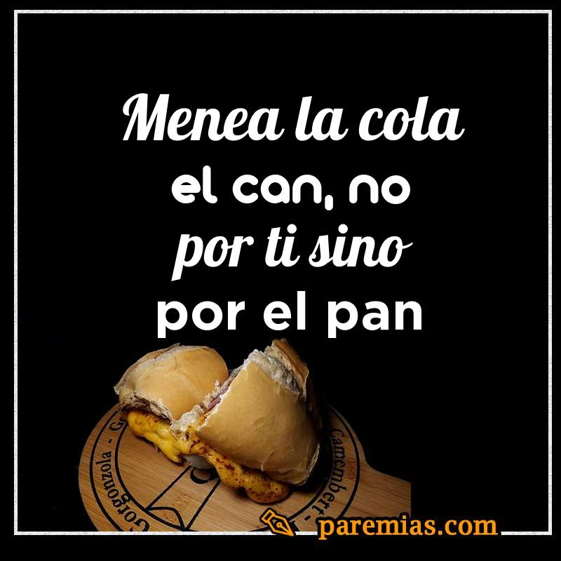 Menea la cola el can, no por ti sino por el pan