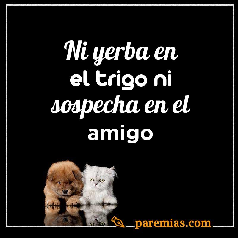 Ni yerba en el trigo ni sospecha en el amigo