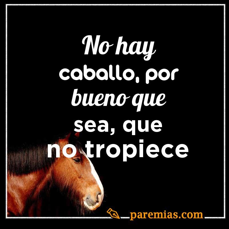 No hay caballo, por bueno que sea, que no tropiece