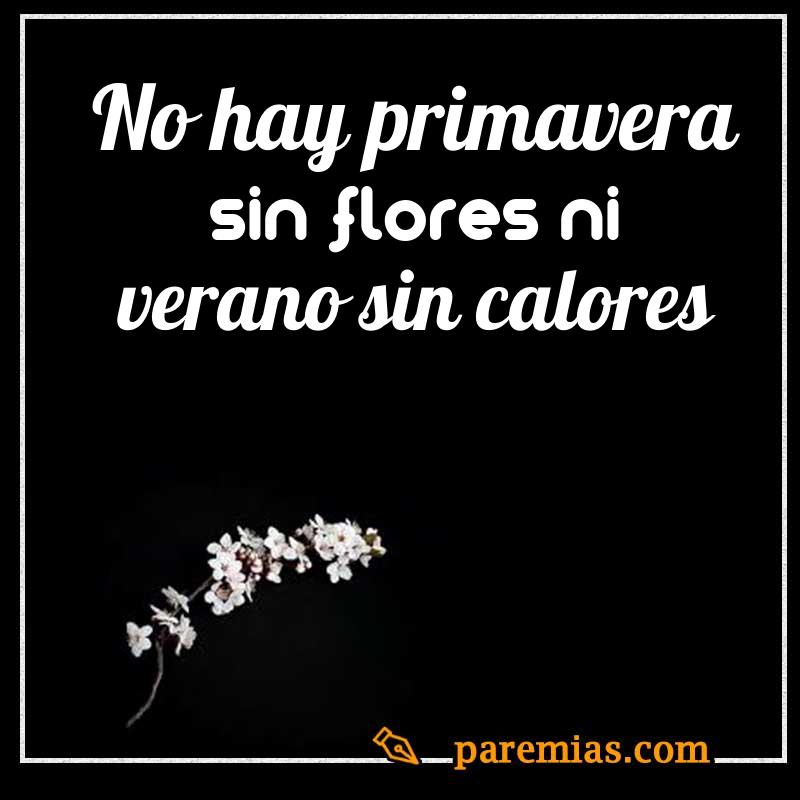 No hay primavera sin flores ni verano sin calores