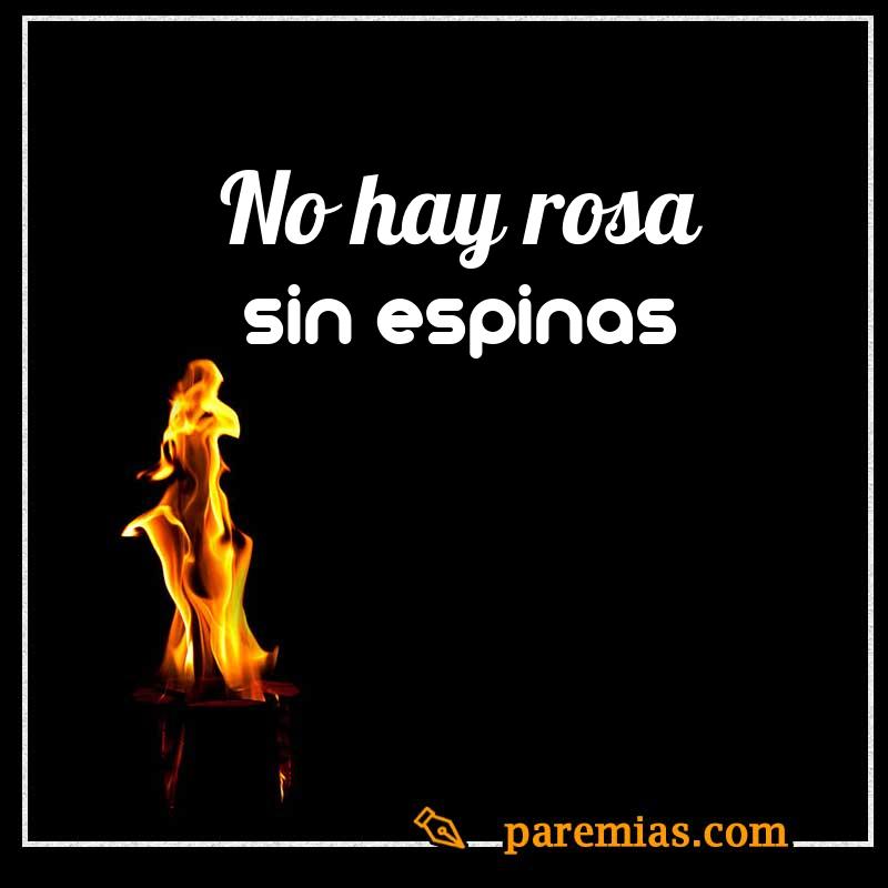 No hay rosa sin espinas
