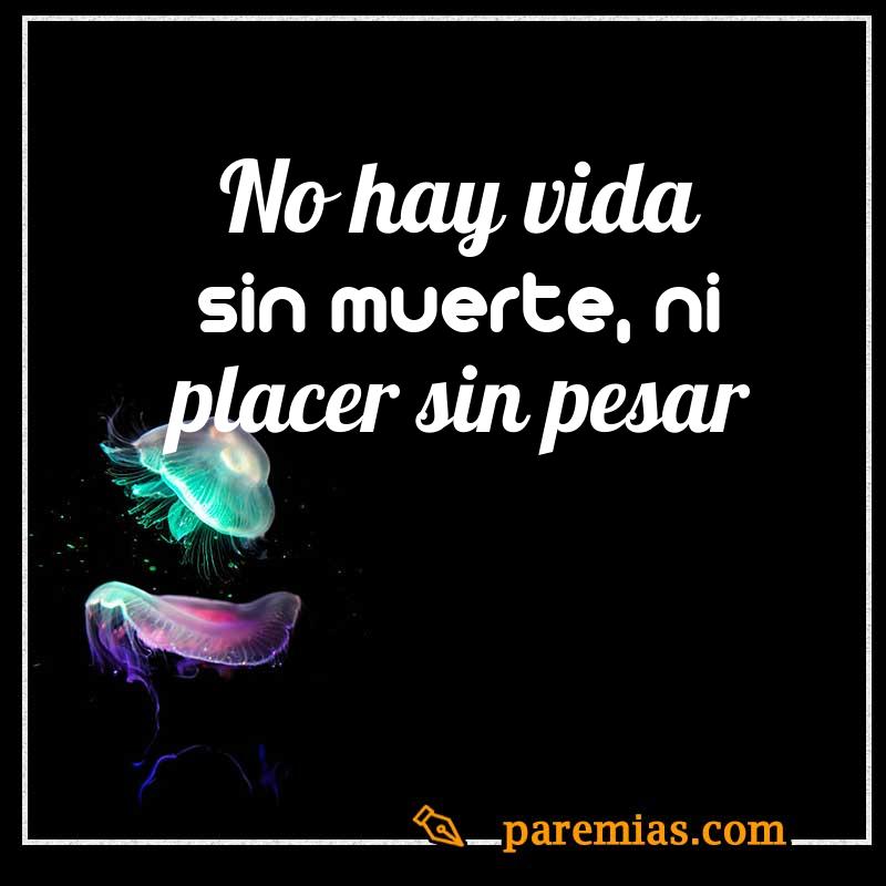 No hay vida sin muerte, ni placer sin pesar