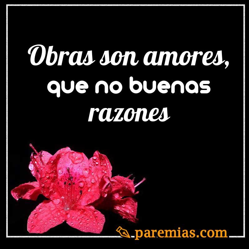 Obras son amores, que no buenas razones