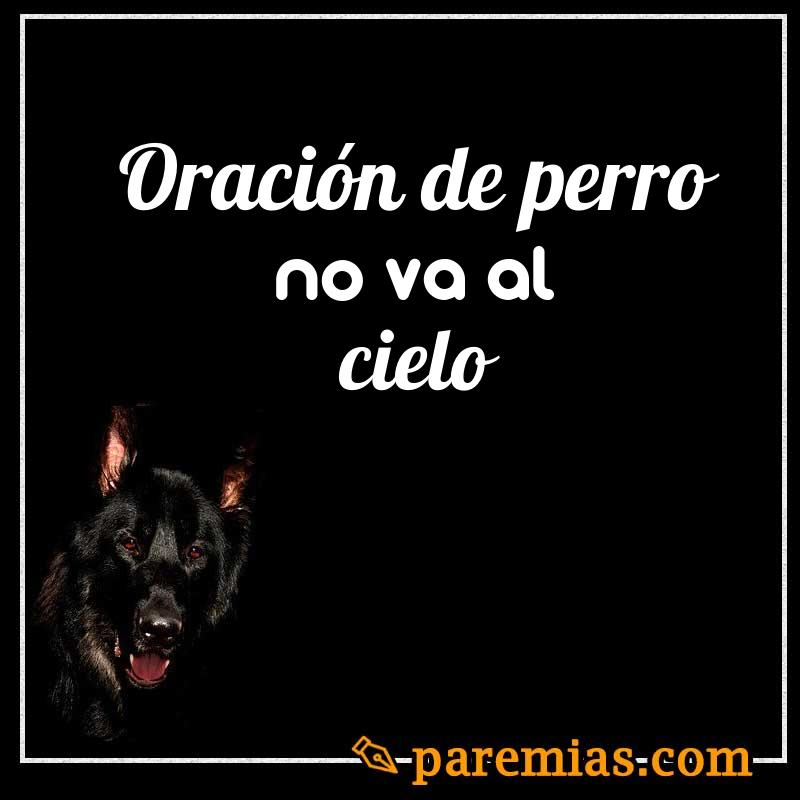 Oración de perro no va al cielo